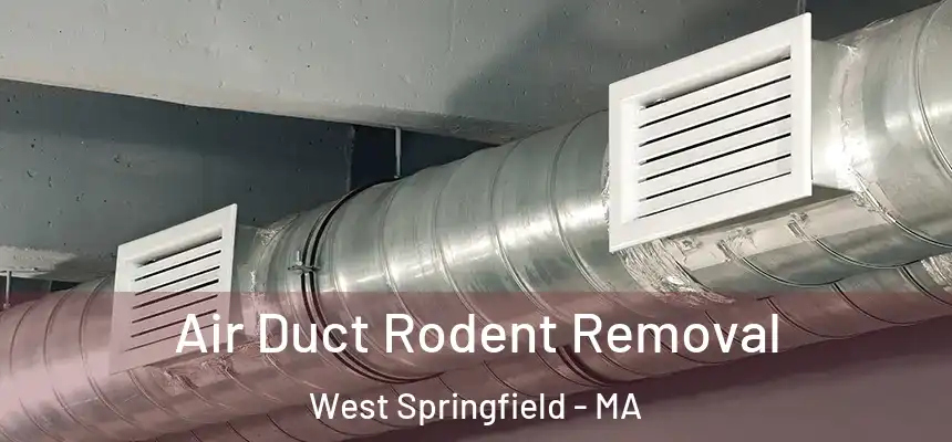 Air Duct Rodent Removal West Springfield - MA