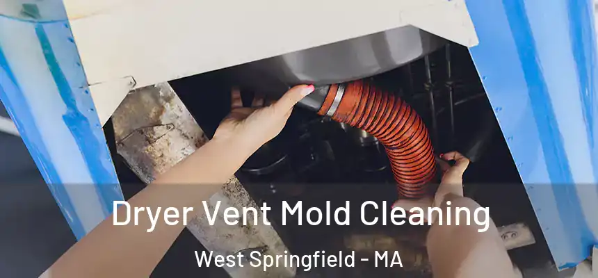  Dryer Vent Mold Cleaning West Springfield - MA