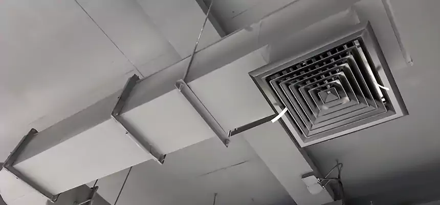 Our Pest Removal From Ducts Services in West Springfield, MA