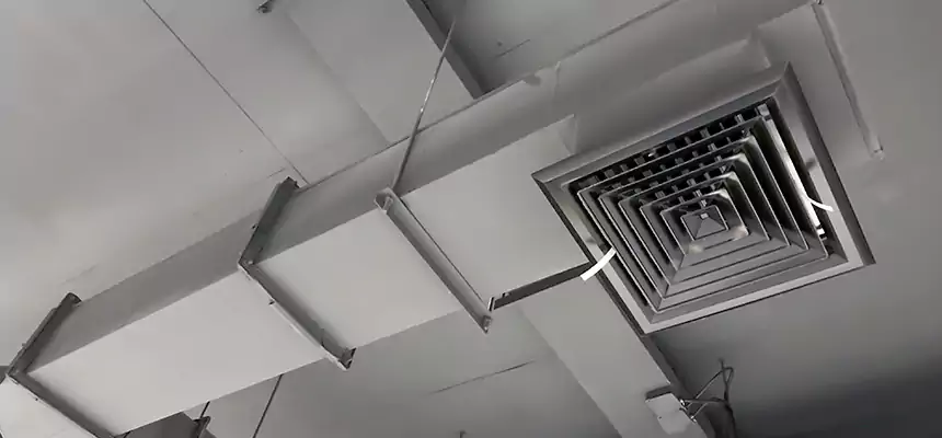 Our Rodent Droppings In Vents Services in West Springfield, MA