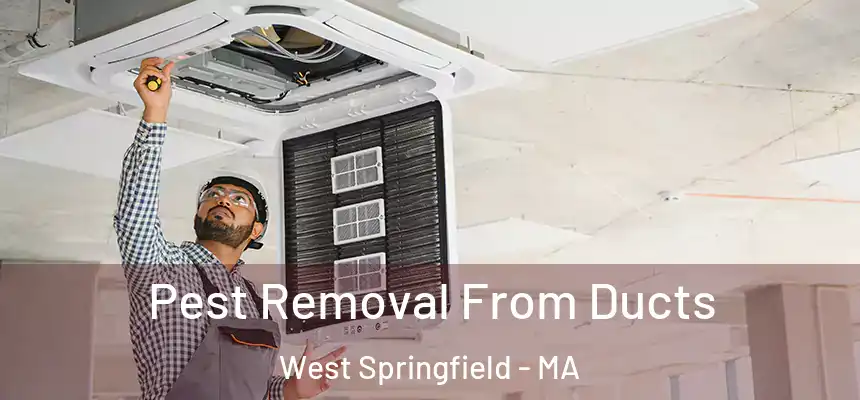 Pest Removal From Ducts West Springfield - MA