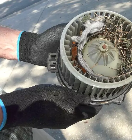 About Air Duct Rat Removal in West Springfield, MA