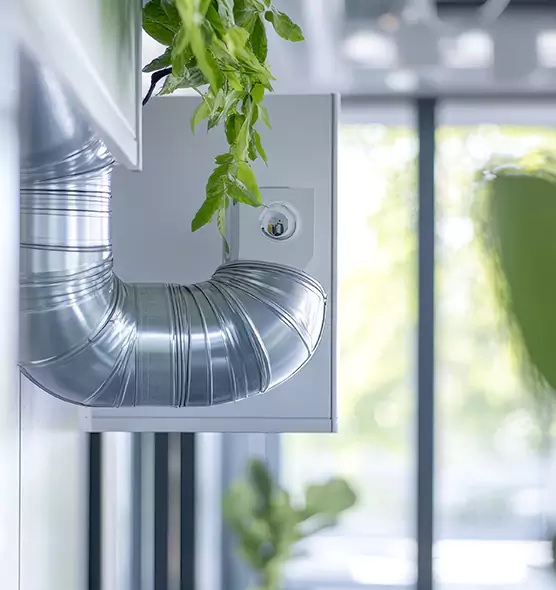 Professional Eco-Safe Dryer Vent Cleaning in West Springfield, MA