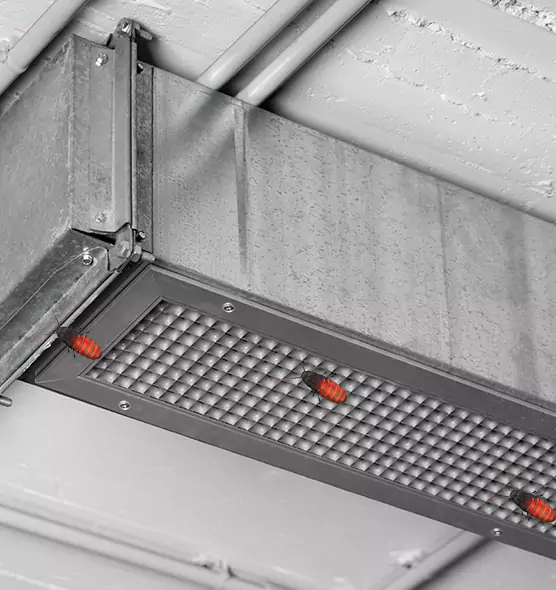Affordable Insect Removal from Air Ducts in West Springfield, MA
