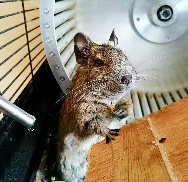 Why Homeowners & Businesses Trust Us West Springfield, MA?